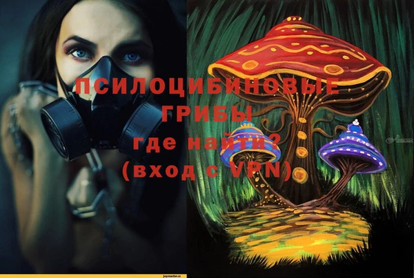 гашик Балахна