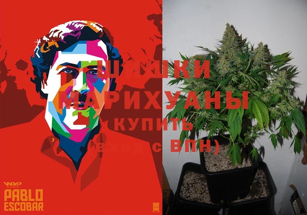 гашик Балахна