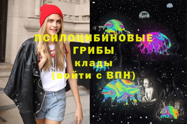 спайс Баксан