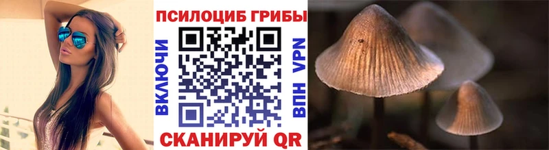 Галлюциногенные грибы Psilocybe  Белёв 
